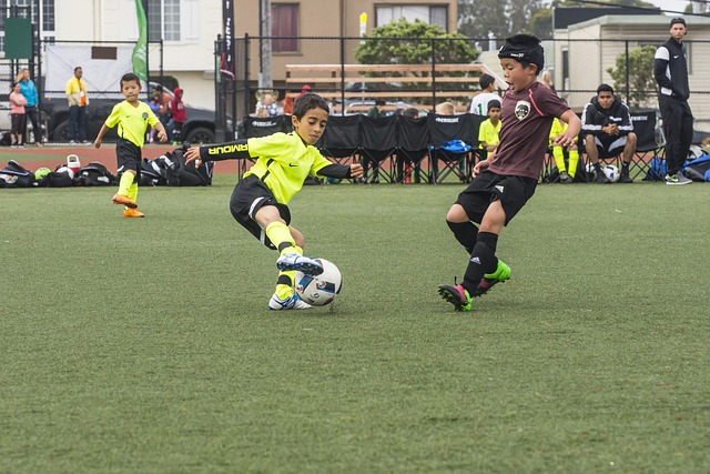 纽约尼克斯